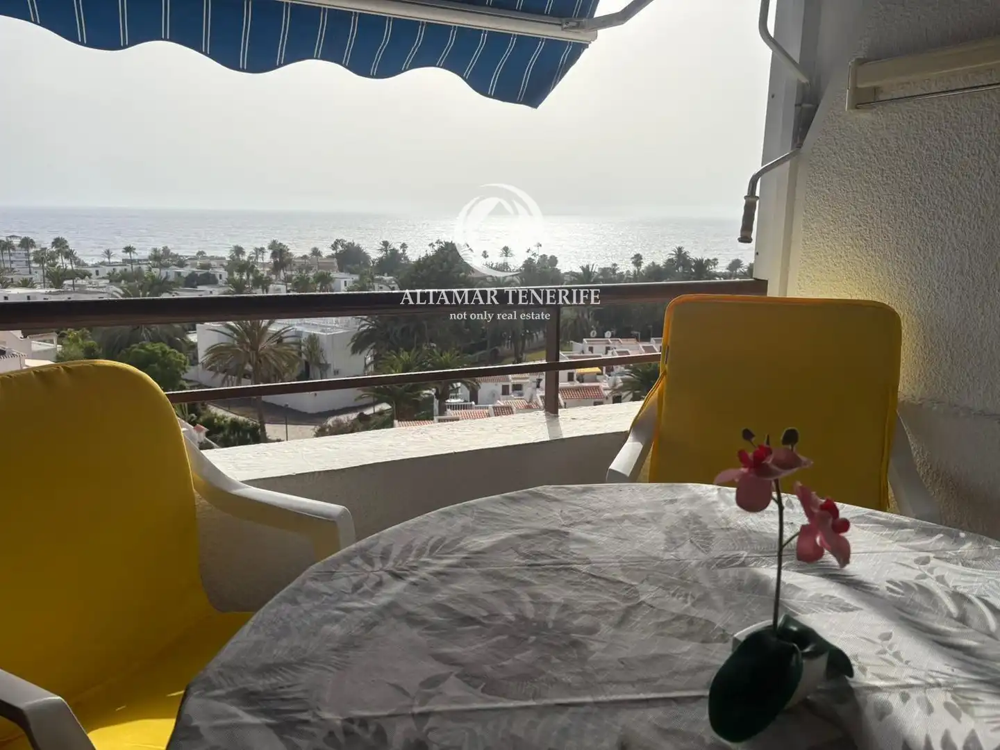 Apartamento con piscina en venta en CALLE VENEZUELA S/N, imagen 5