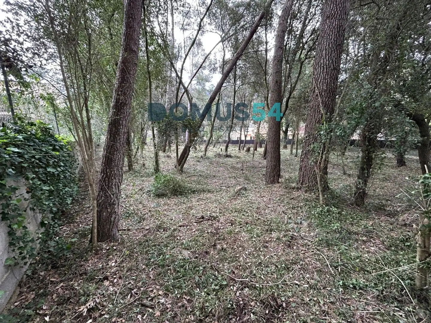 Rural land for sale in Sa Pobla, imagen 12