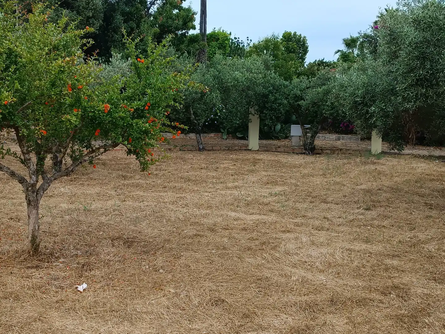 Terreno residencial en venta en Carrer Reus, imagen 16