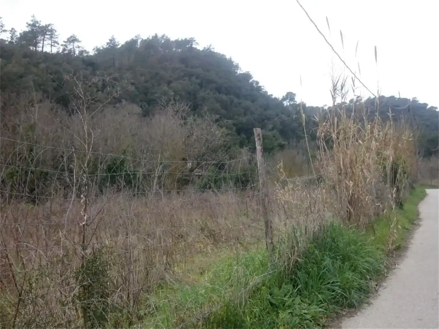 Finca rústica en venda en Tordera