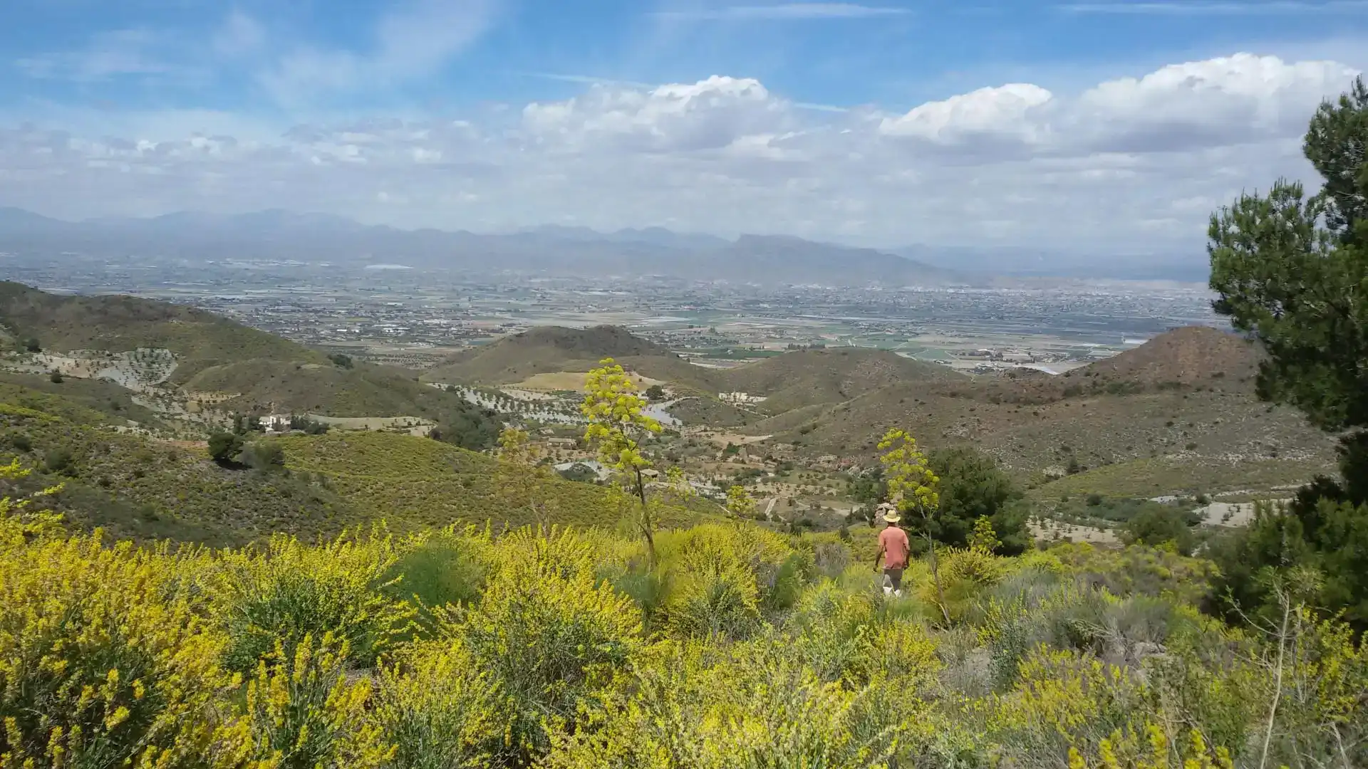 Vista exterior de Residencial en venta en Lorca