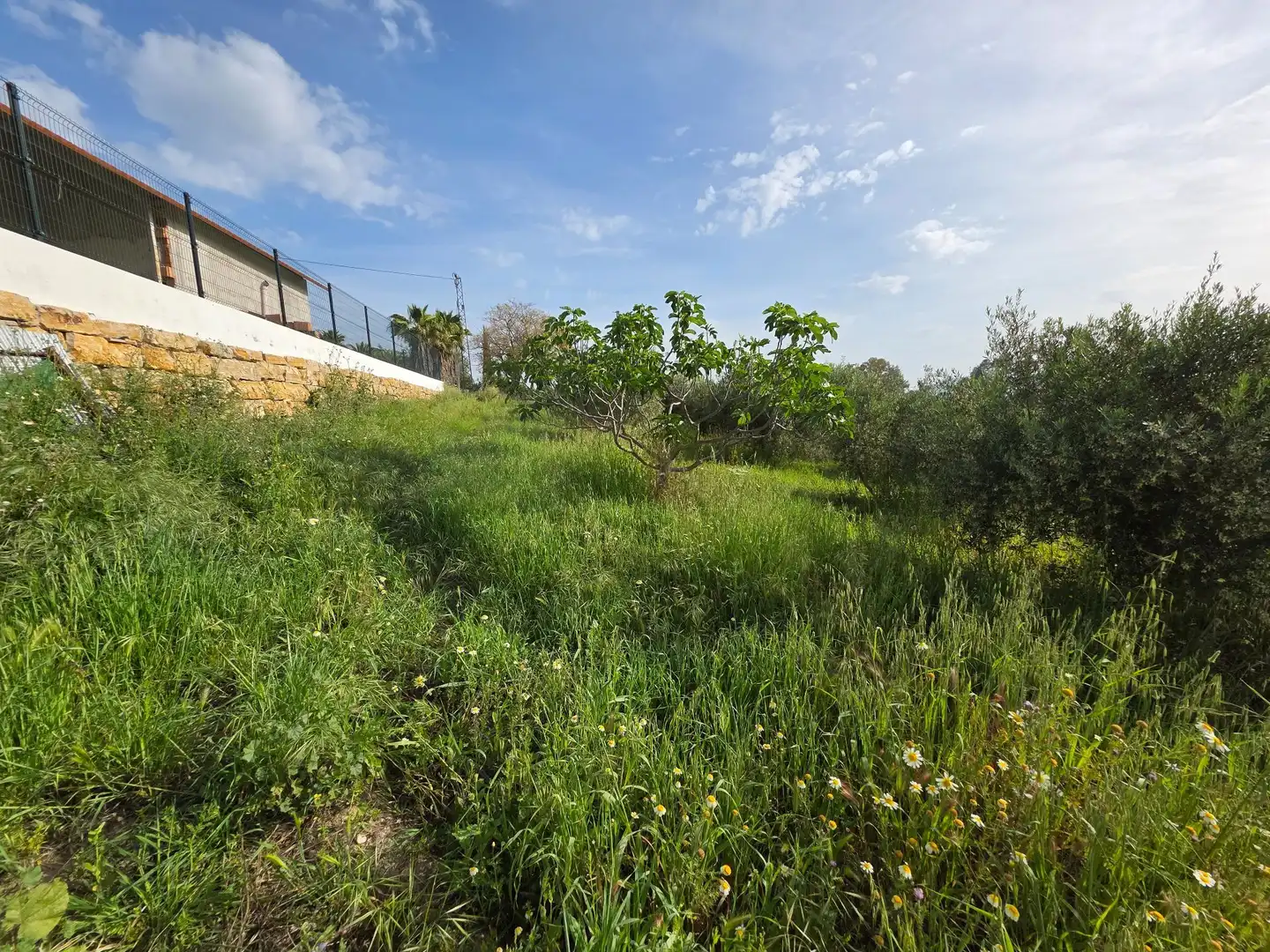 Finca rústica en venta en Alhaurín El Grande