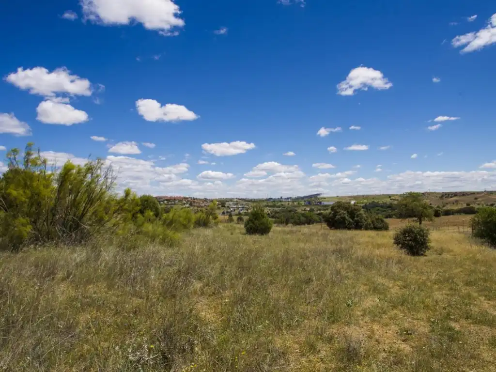 Finca rústica en venda en Navalcarnero