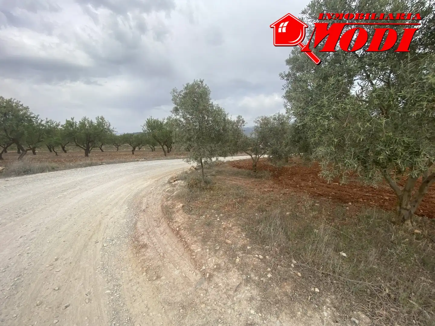 Terrenys i solars en venda a Padul, imagen 22