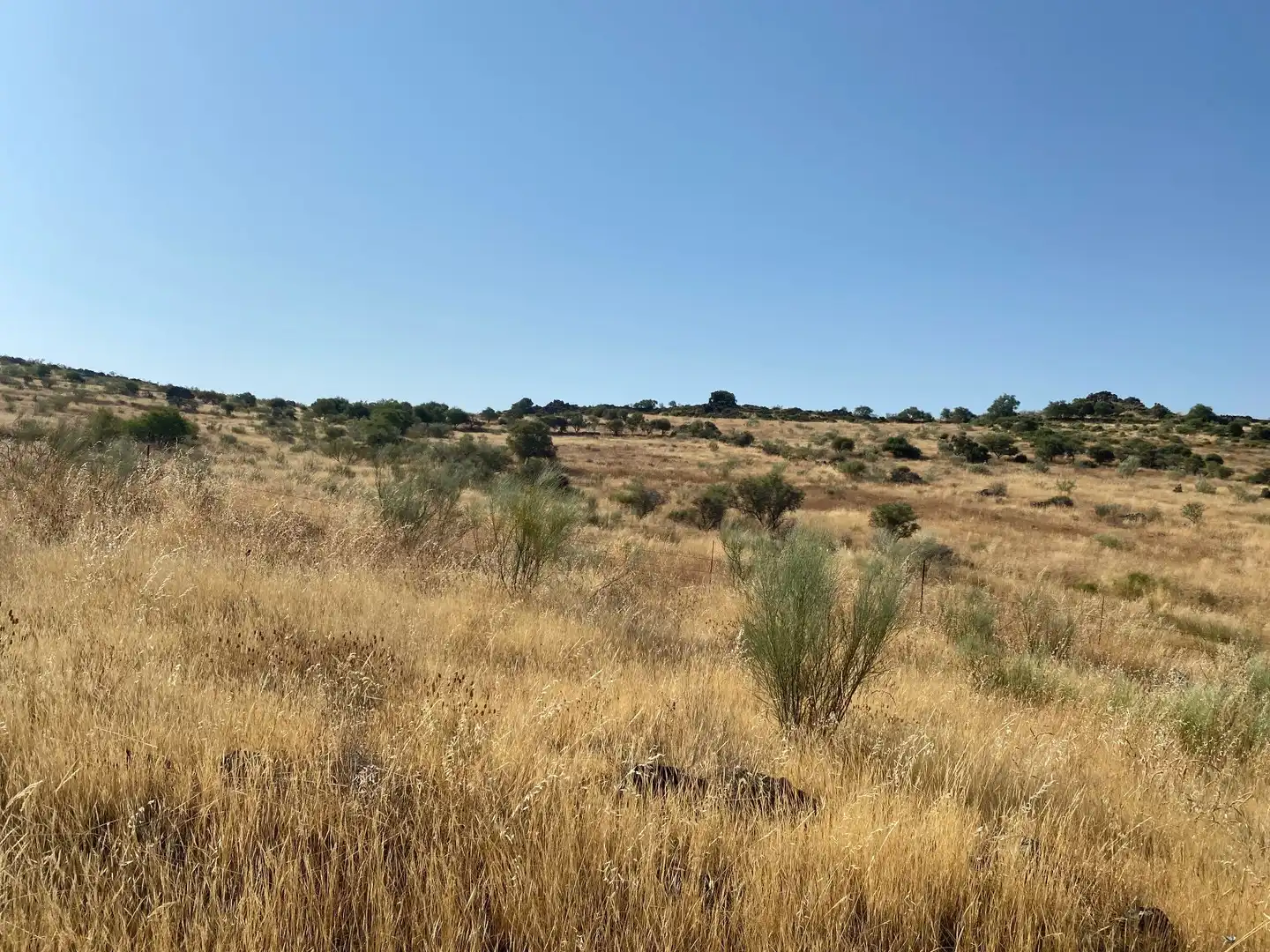Grundstücke zum Verkauf in Aldeanueva de San Bartolomé