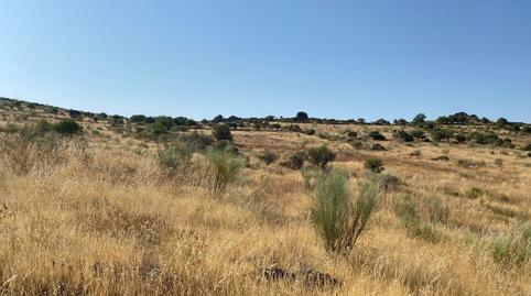 Photo 4 of Land for sale in Aldeanueva de San Bartolomé, Toledo