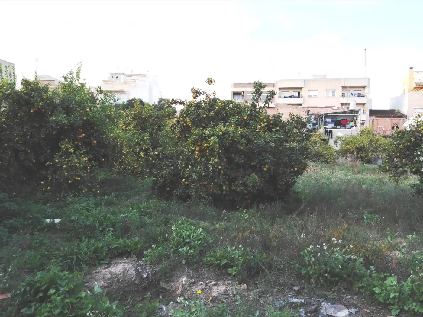 Rural land for sale in Pedanías Este, imagen 3
