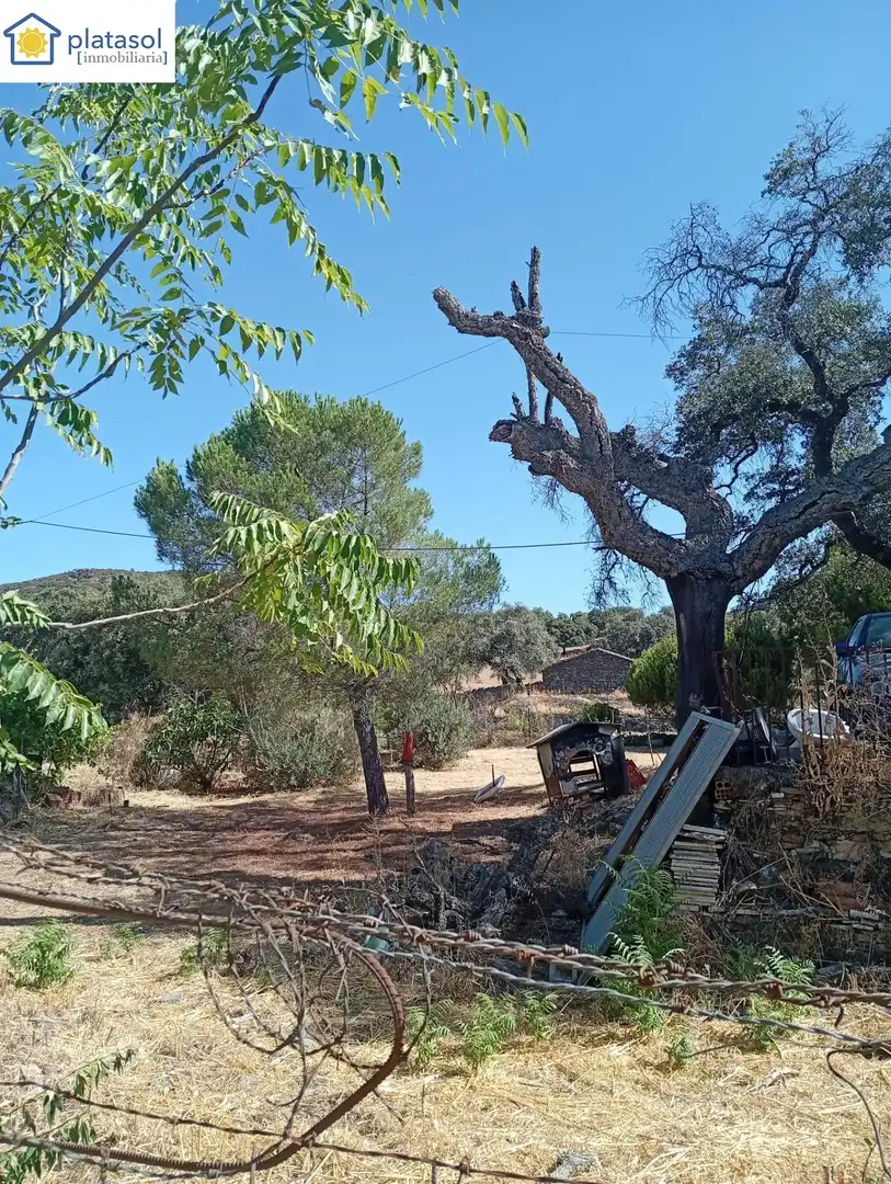 Finca rústica en venda en Higuera de la Sierra