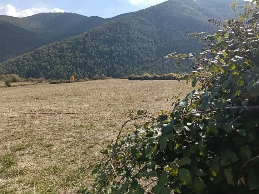 Terreni e lotti in vendita a calle alta, imagen 2