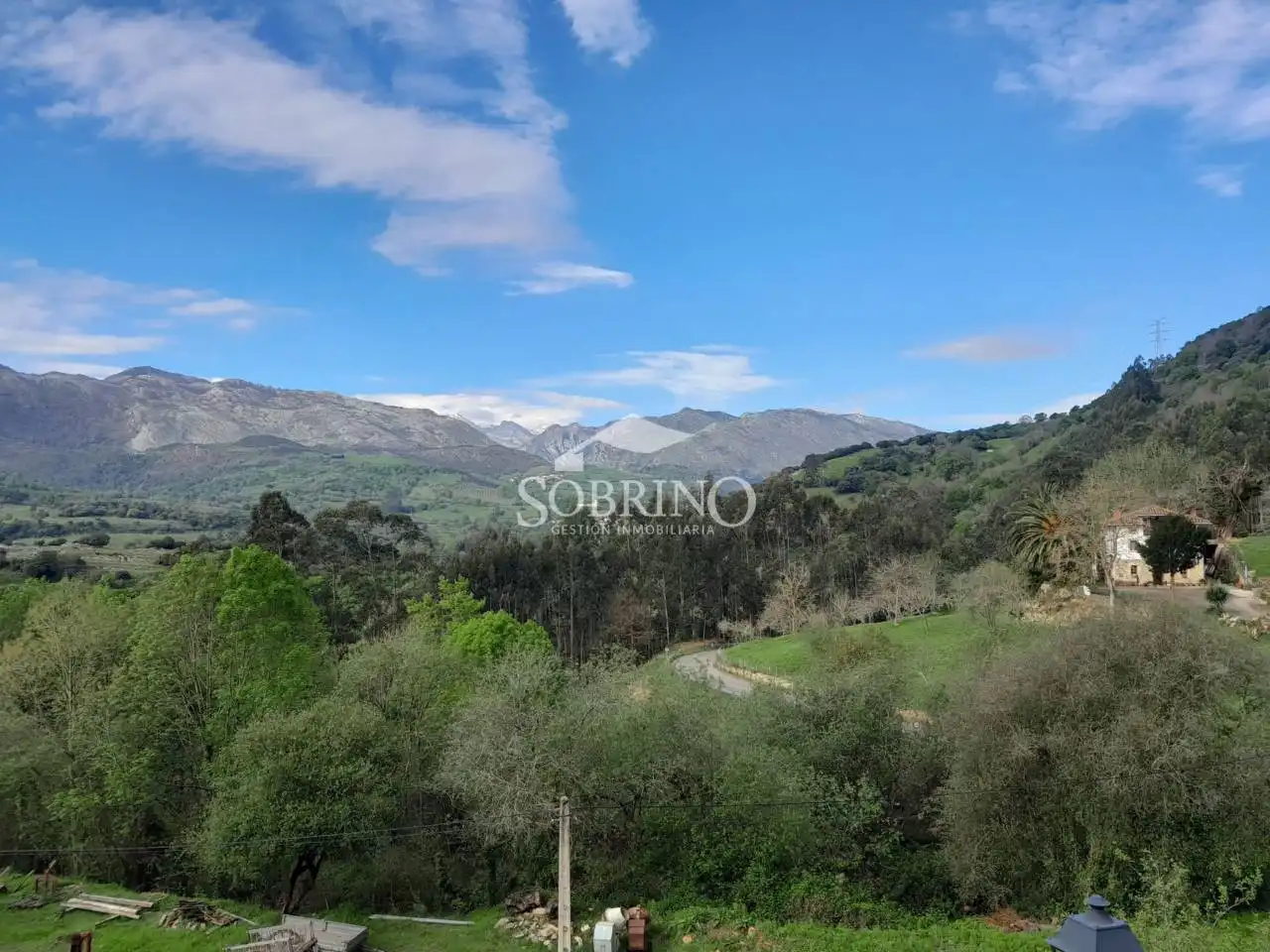 Vista exterior de Casa o chalet en venta en Peñamellera Baja con Jardín privado