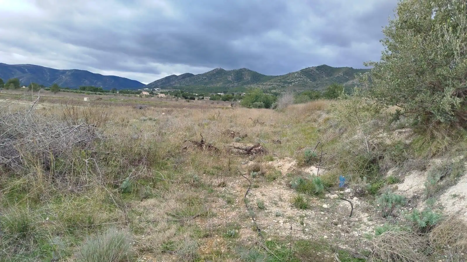 Terreny residencial en venda a Aielo de Malferit, imagen 3