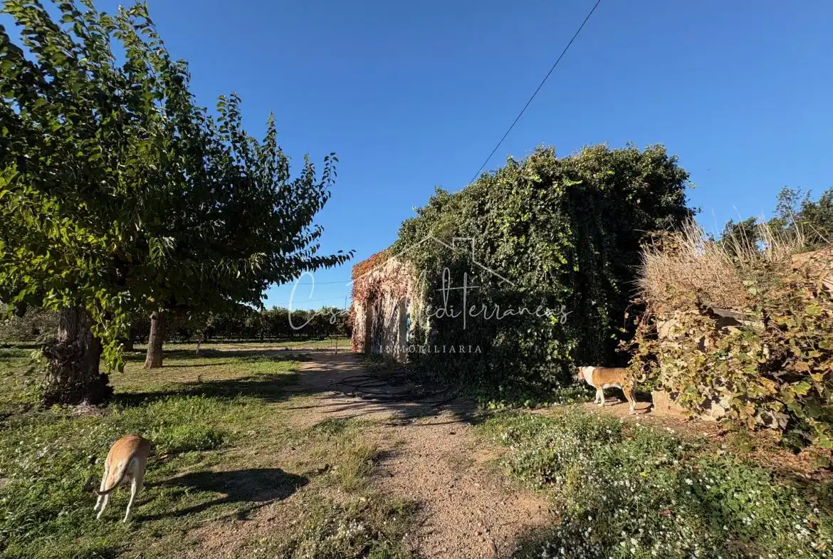 Country house for sale in Vinyols i els Arcs, imagen 3