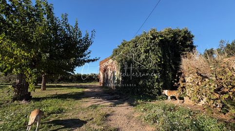Foto 3 de Finca rústica en venta en N/a, Vinyols i els Arcs, Tarragona