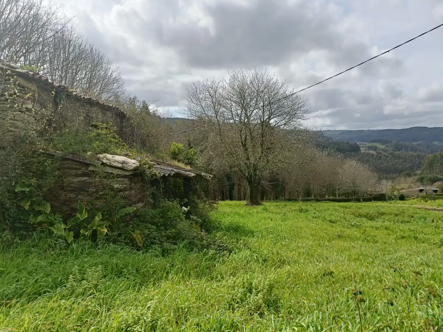 Maison avec jardin à vendre à Lugar Castelo, imagen 12
