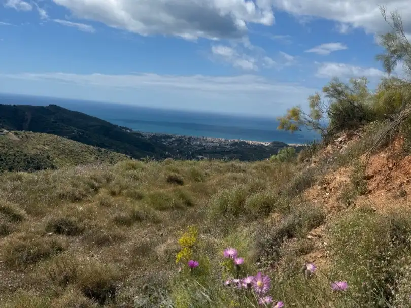 Terreno en venta en Rincón de la Victoria