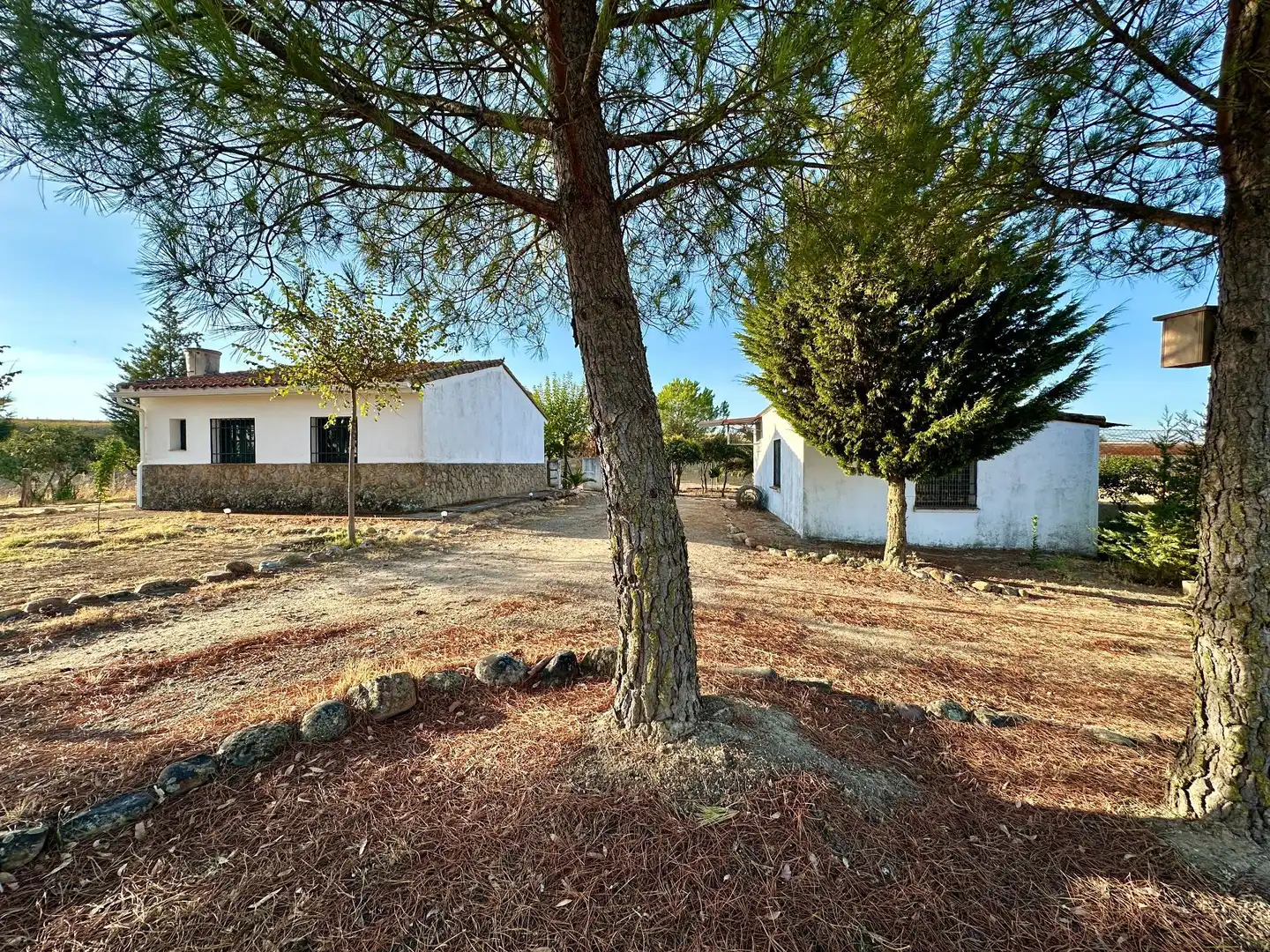 Terreni e lotti in vendita a Casatejada, imagen 3