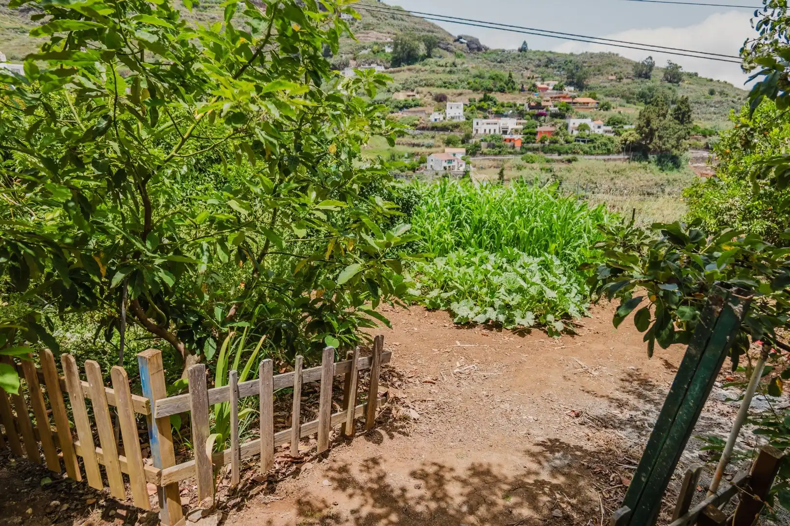 Jardín de Casa o chalet en venta en Teror con Jardín privado y Terraza