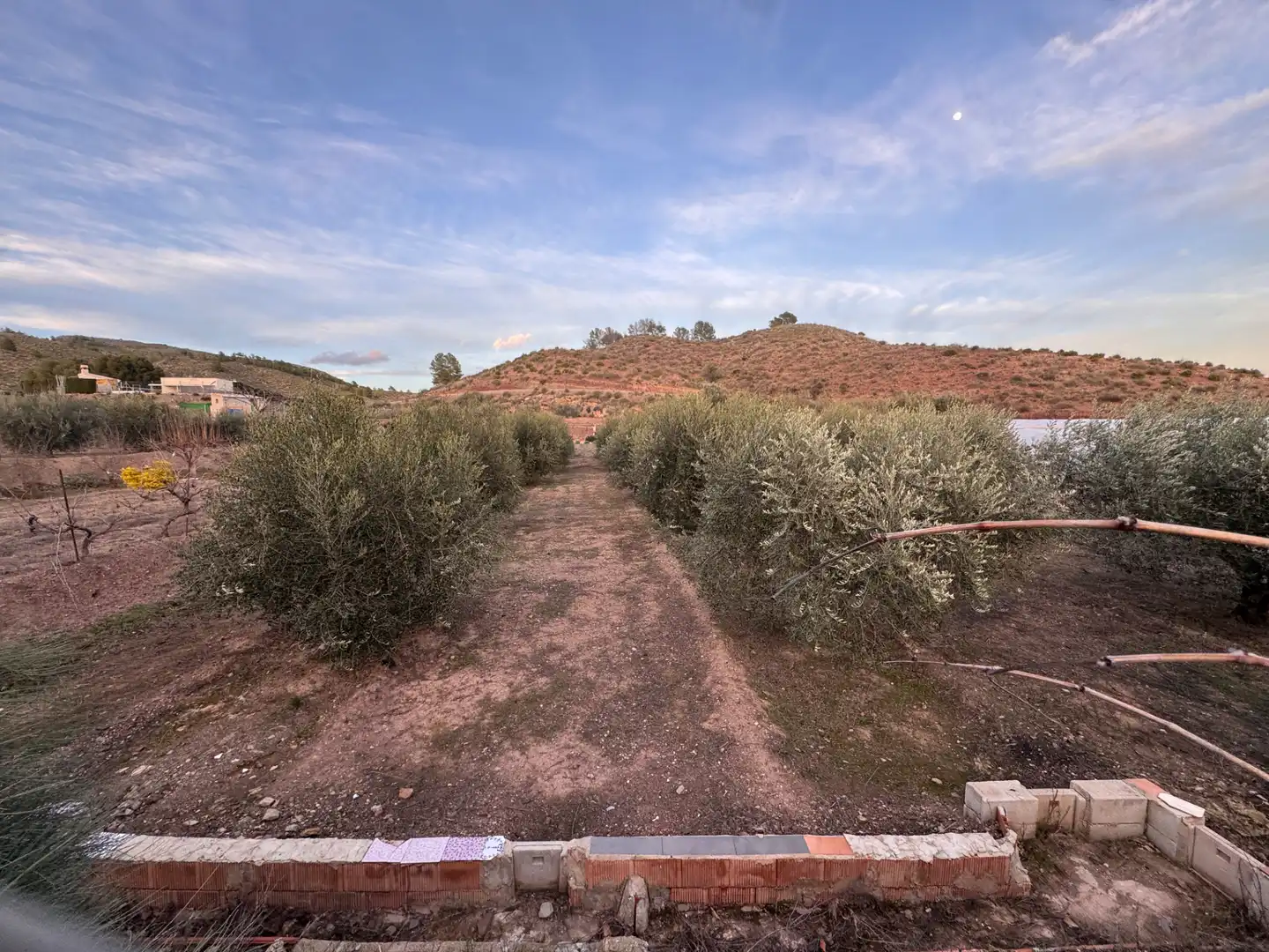 Chalet con terraza en venta en Cehegín, imagen 29