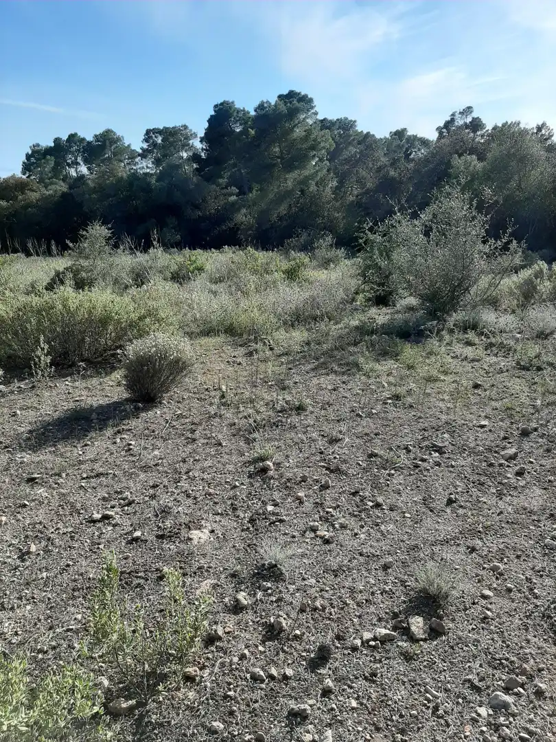 Terrain rustique à vendre à Sant Joan, imagen 3