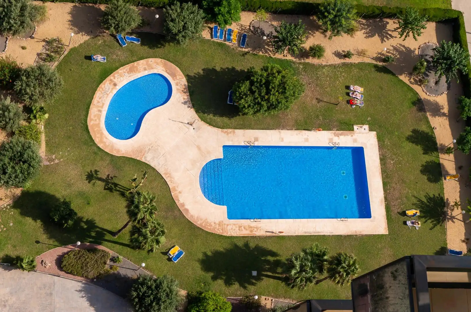 Swimming pool of Apartments for rent in Benidorm  with Air Conditioner, Private garden and Terrace