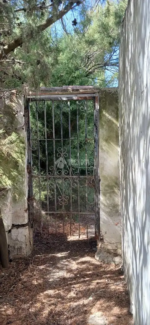 Landhaus mit Pool zum Verkauf in Barbate ciudad, imagen 34