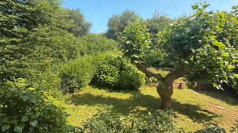 Foto 5 de Casa o chalet en venta en San Claudio - Trubia - Las Caldas, Oviedo