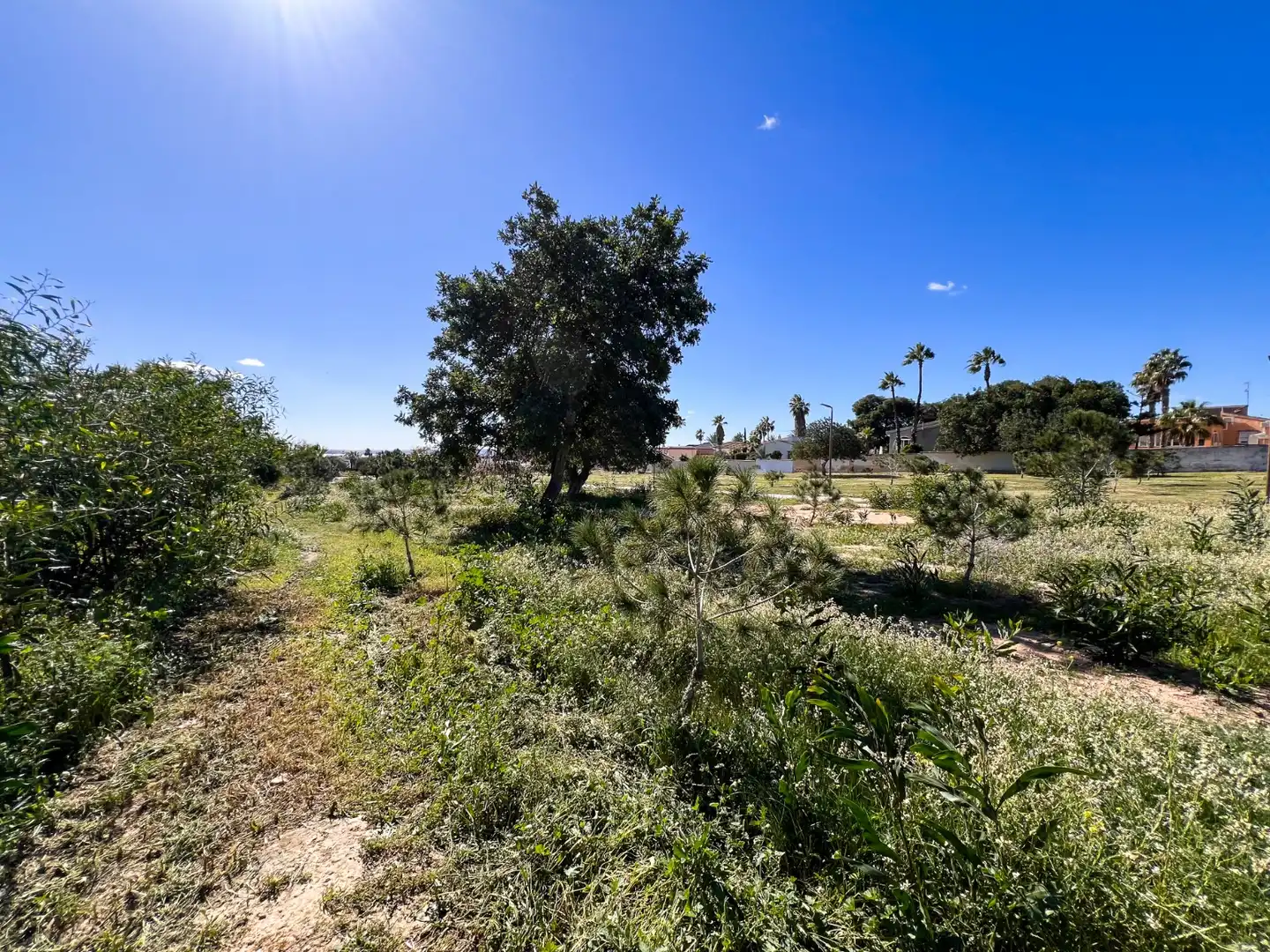 Casa o chalet en venta en Rojales con Aire acondicionado, Calefacción y Jardín privado