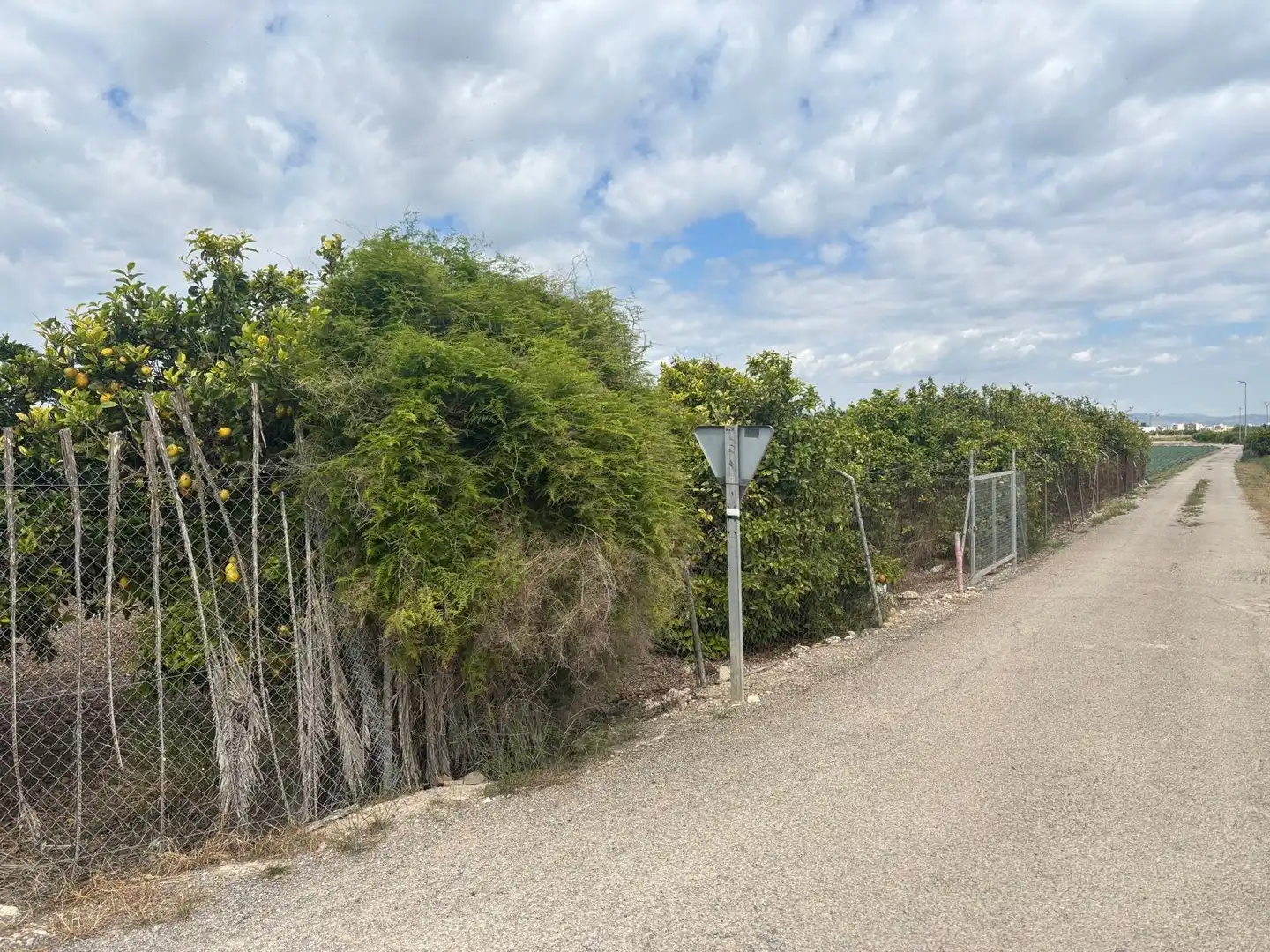 Finca rústica en venta en Guardamar del Segura