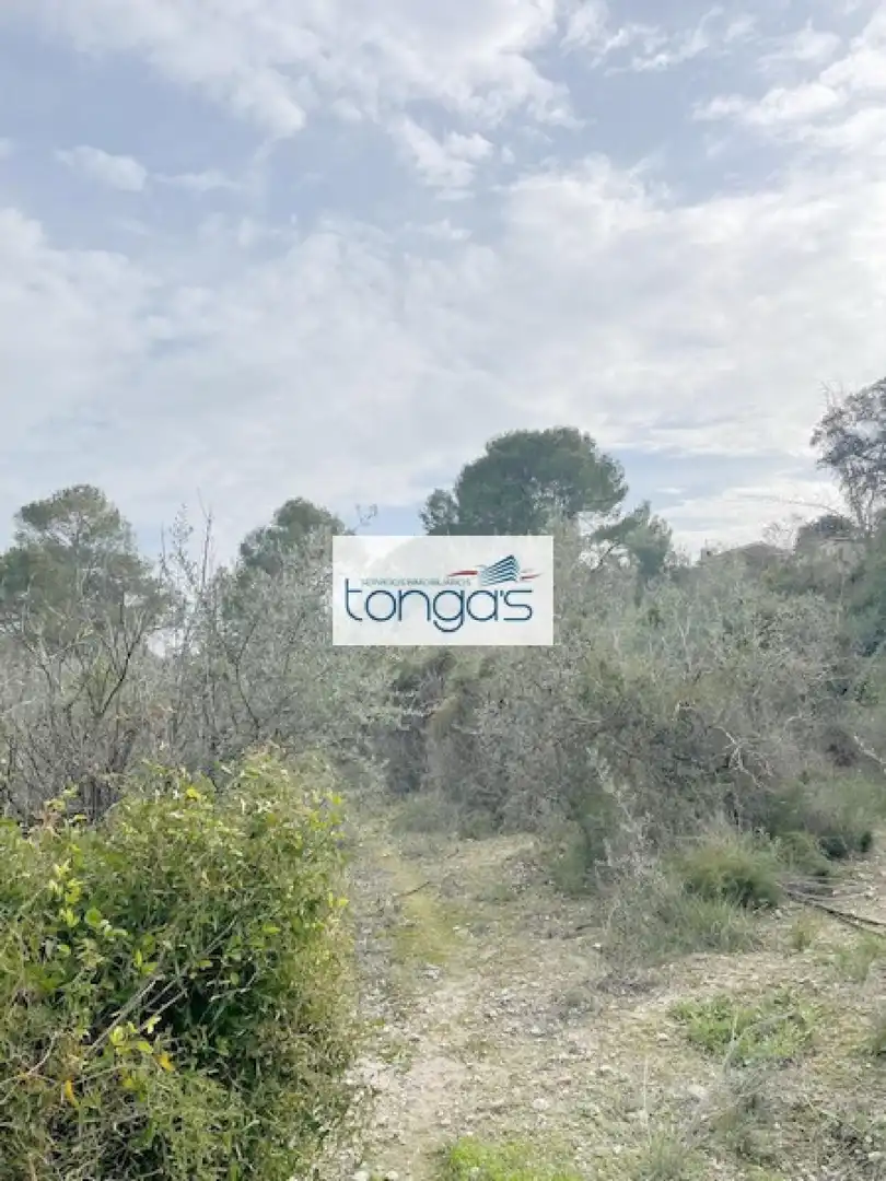 Terreny residencial en venda a Xàtiva, imagen 11