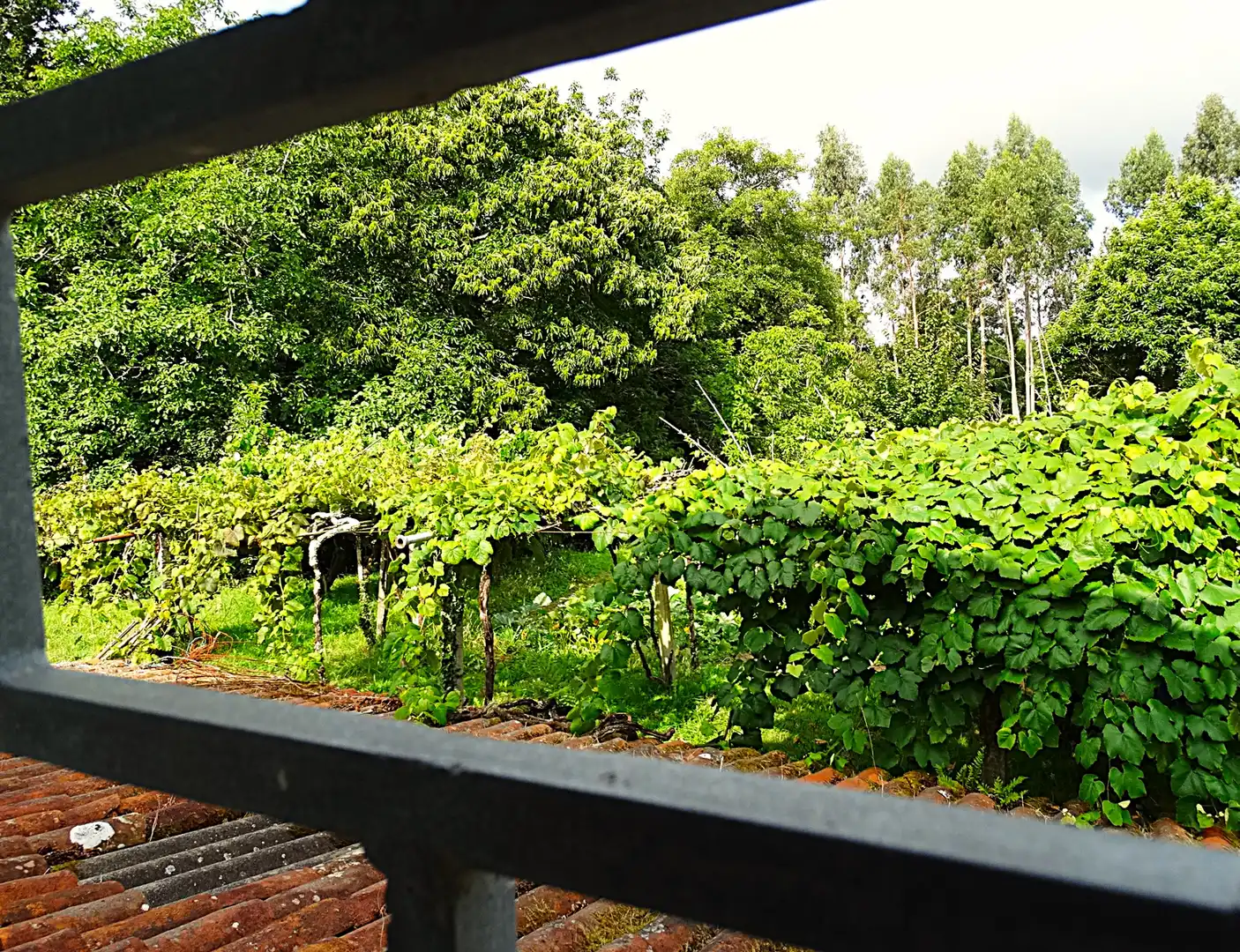 Jardí de Finca rústica en venda en Narón amb Calefacció, Jardí privat i Parquet