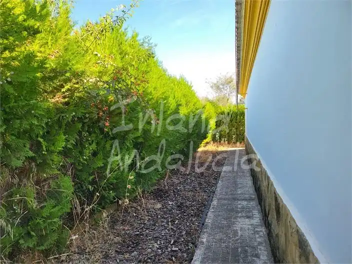 Maison avec piscine à vendre à Marchena, imagen 16
