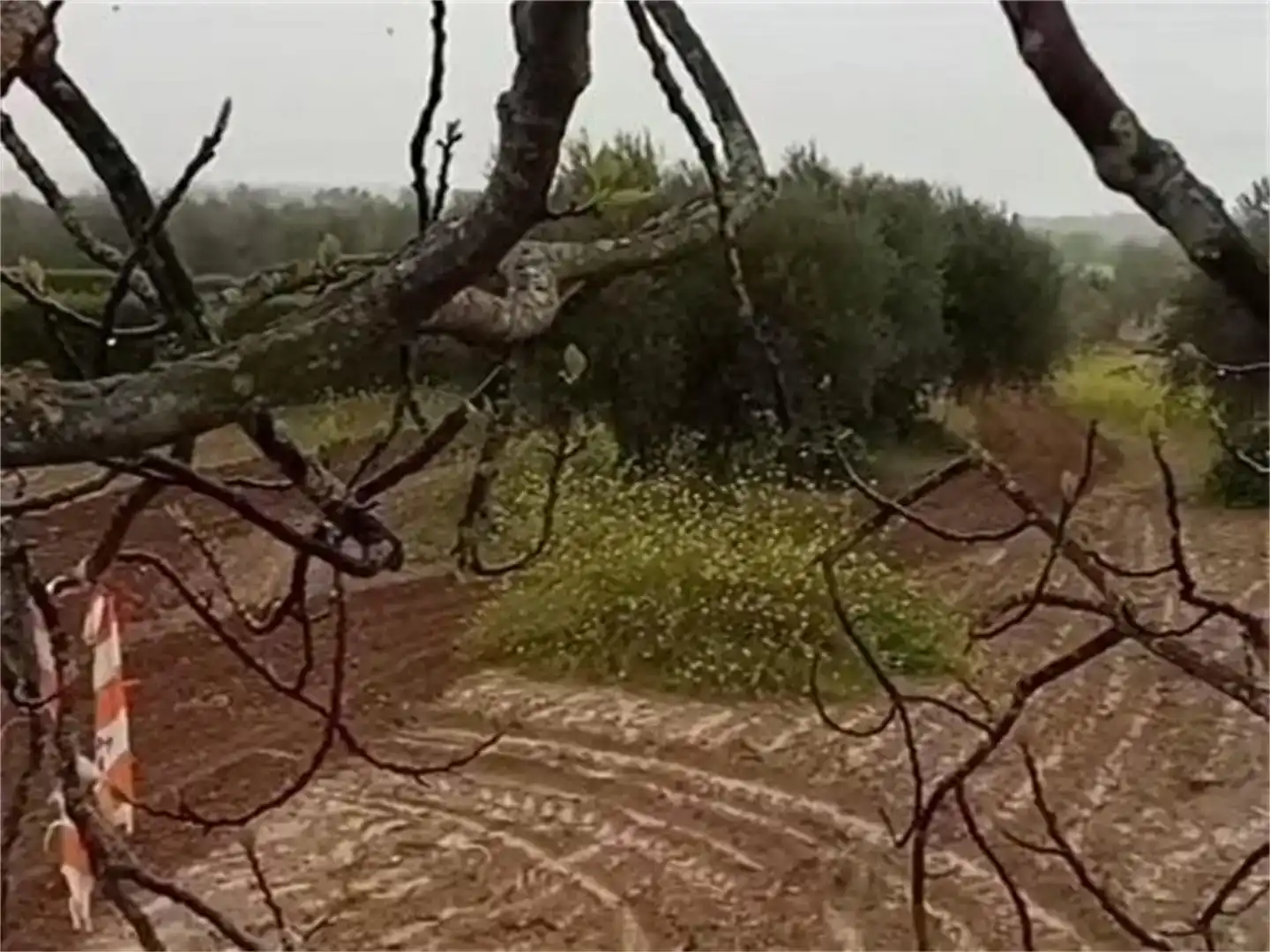 Jardí de Residencial en venda en Montearagón