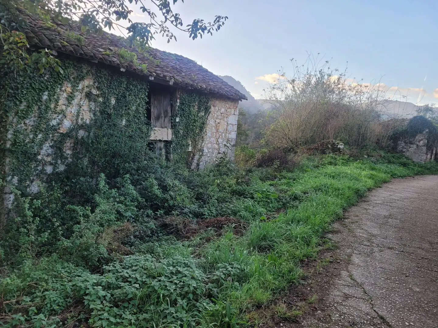 Casa o chalet en venta en Ribadedeva