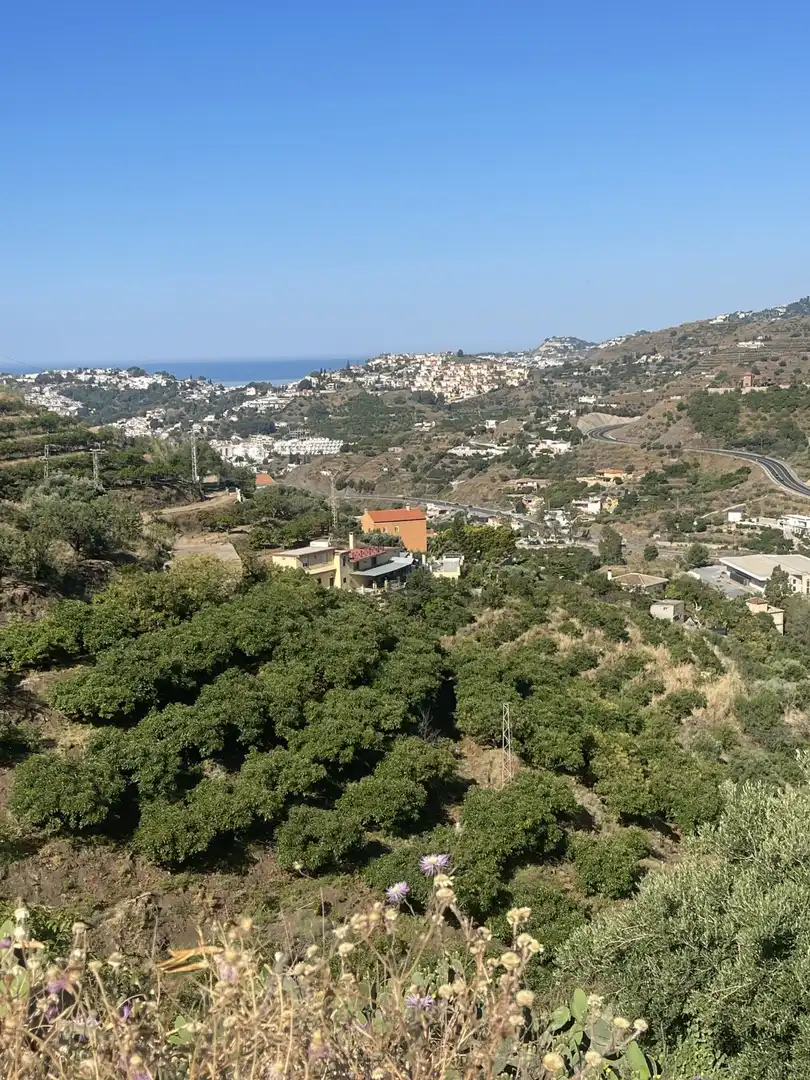 Terreni e lotti in vendita a Almuñecar centro