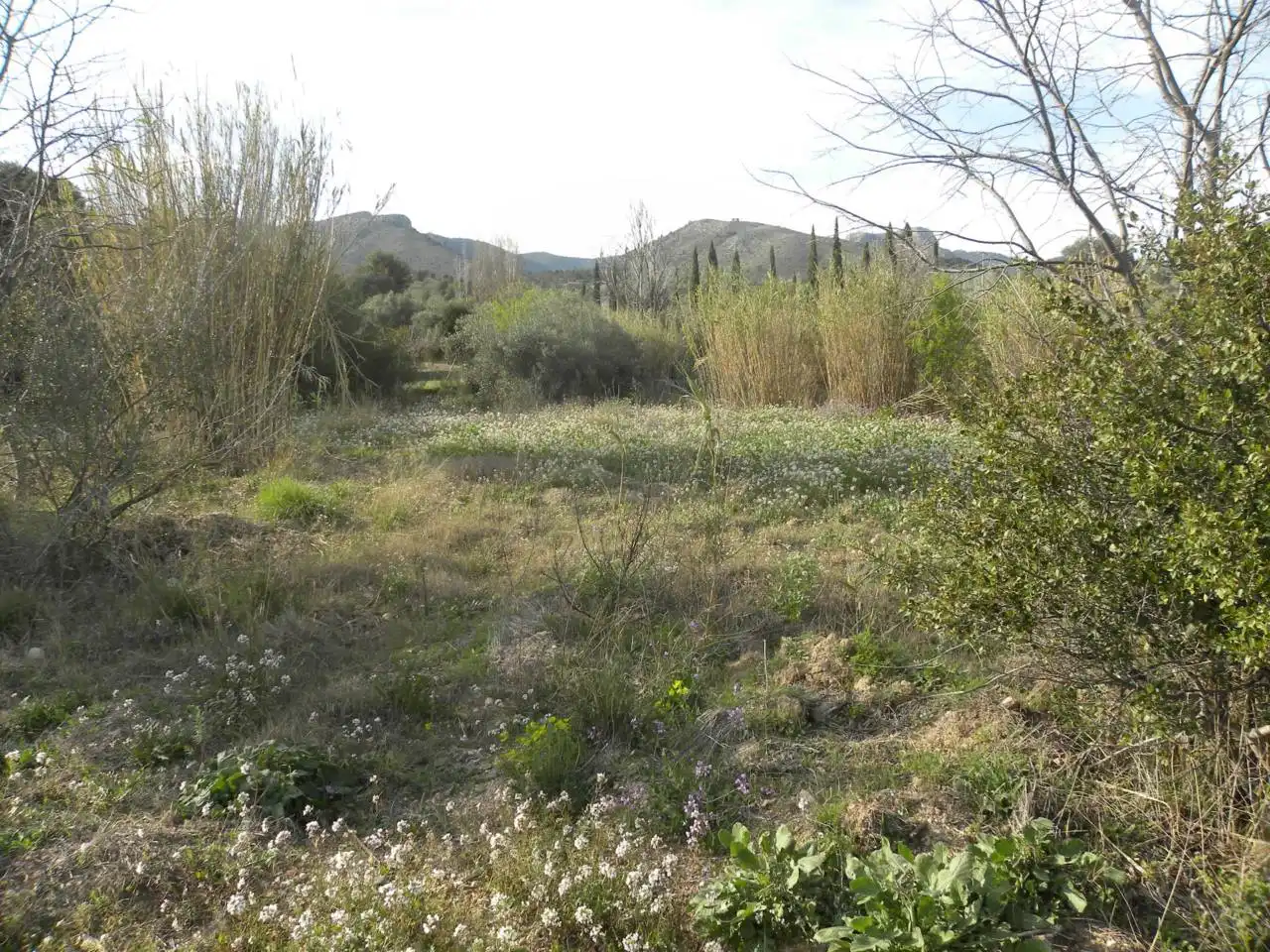 Residencial en venda en Caravaca de la Cruz
