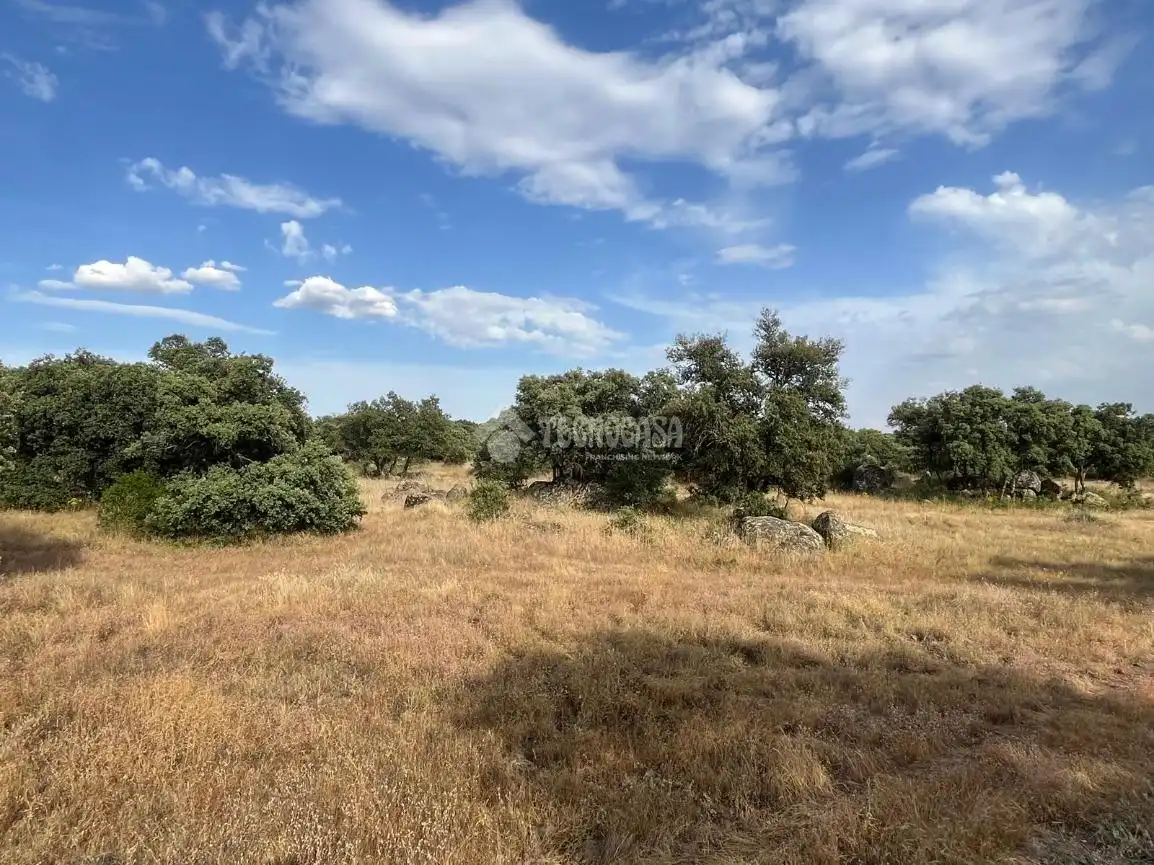 Terreno en venta en Santa Ana de Pusa