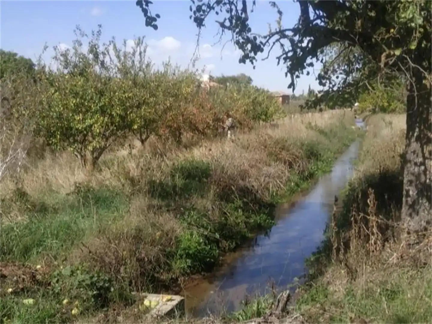 Finca rústica en venda en Herrera de Pisuerga