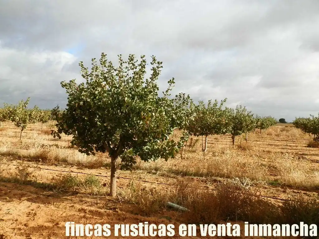 Terreni e lotti in vendita a Las Mesas, imagen 24