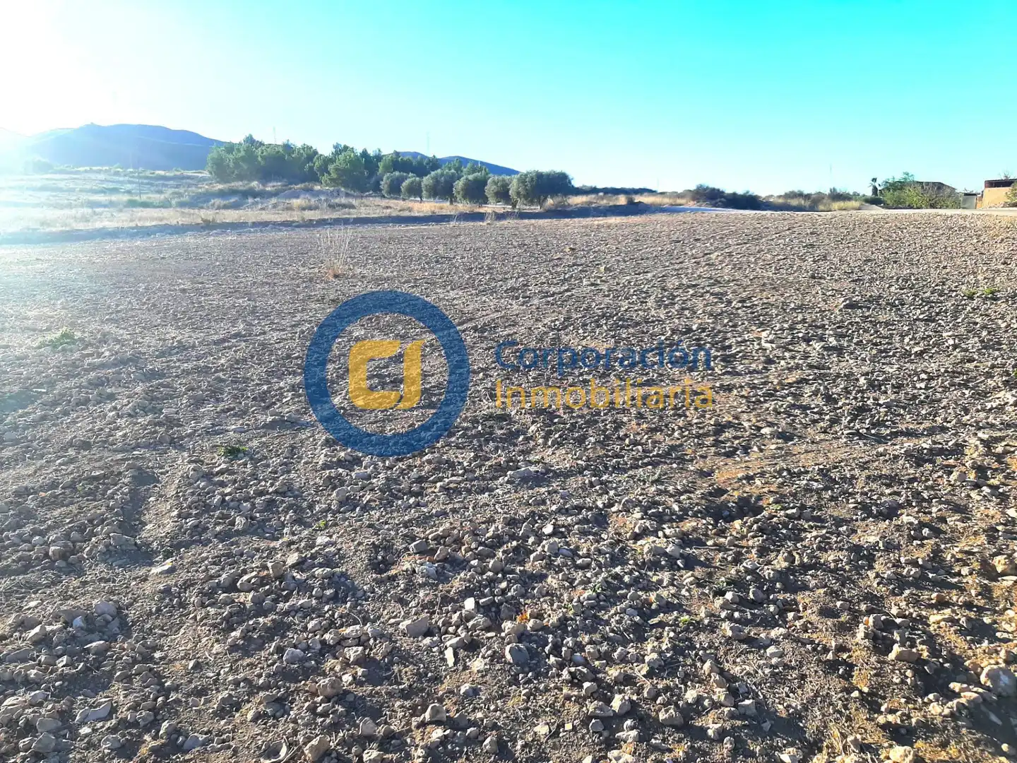 Terreno residenziale in vendita a Pedanías Sur, imagen 11