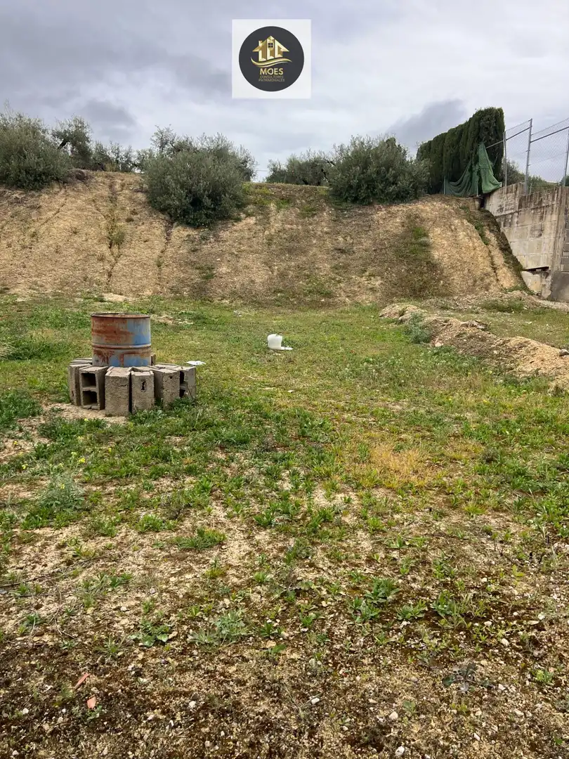 Terreni e lotti in vendita a Torredonjimeno, imagen 3