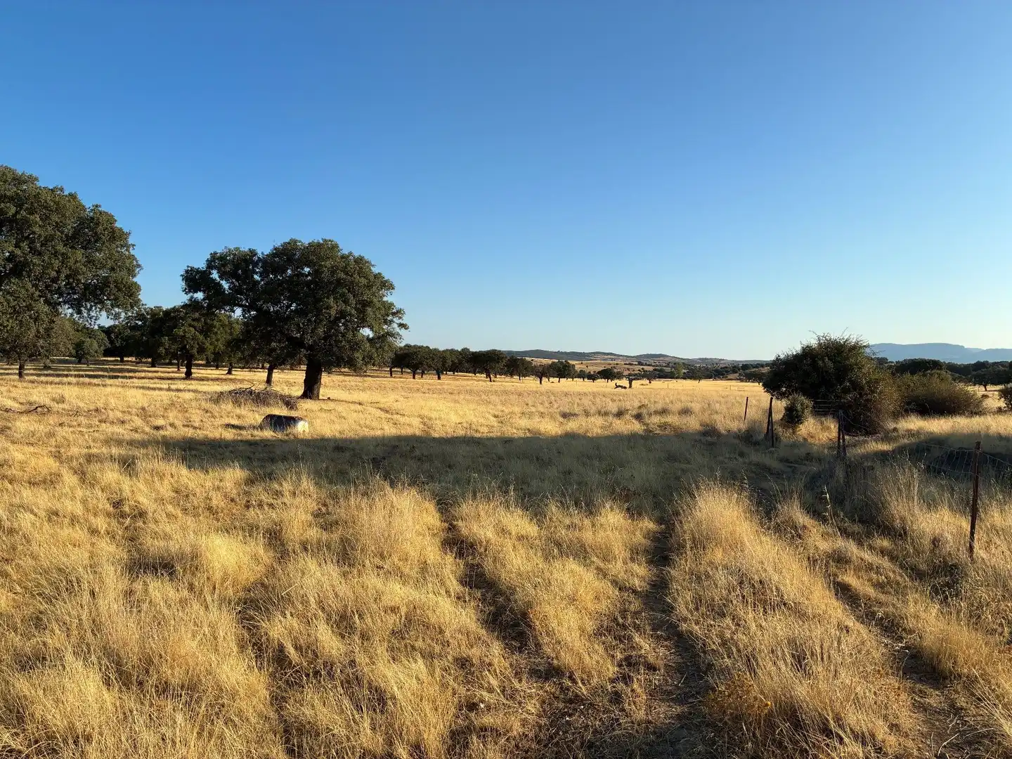 Rural land for sale in Puerto de San Vicente, imagen 8