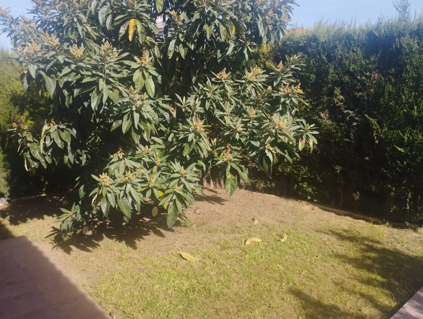 Jardín de Casa o chalet en venta en Bormujos con Aire acondicionado, Calefacción y Terraza