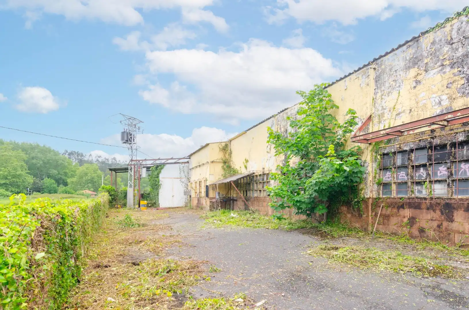 Vista exterior de Nave industrial en venta en Piloña
