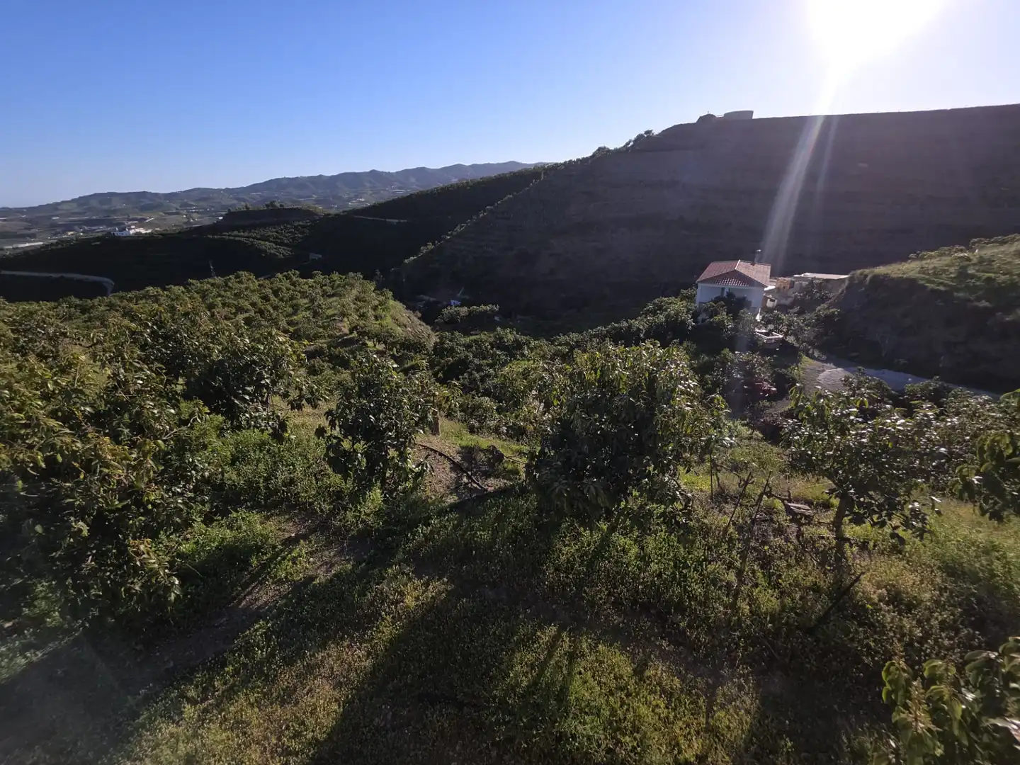 Terreny rústic en venda a Diseminado Atalaya Baja, imagen 2