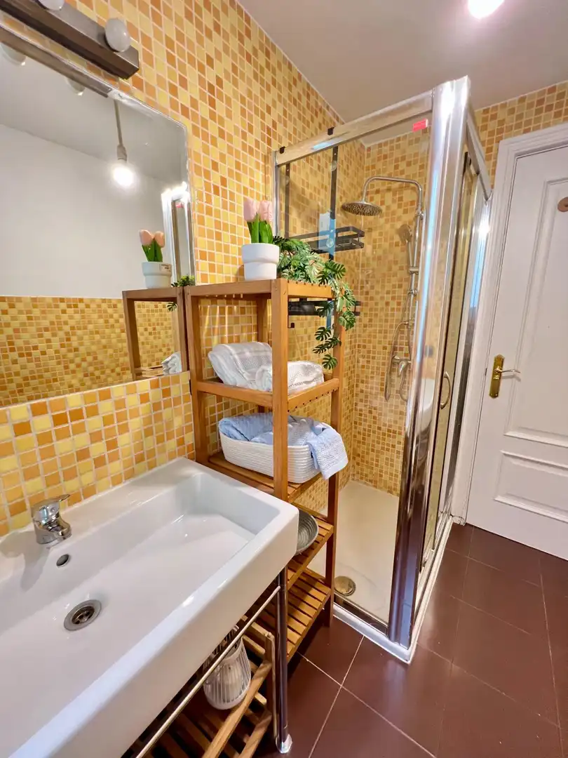 Bany de Apartament de lloguer en Madrid amb Aire condicionat i Calefacció