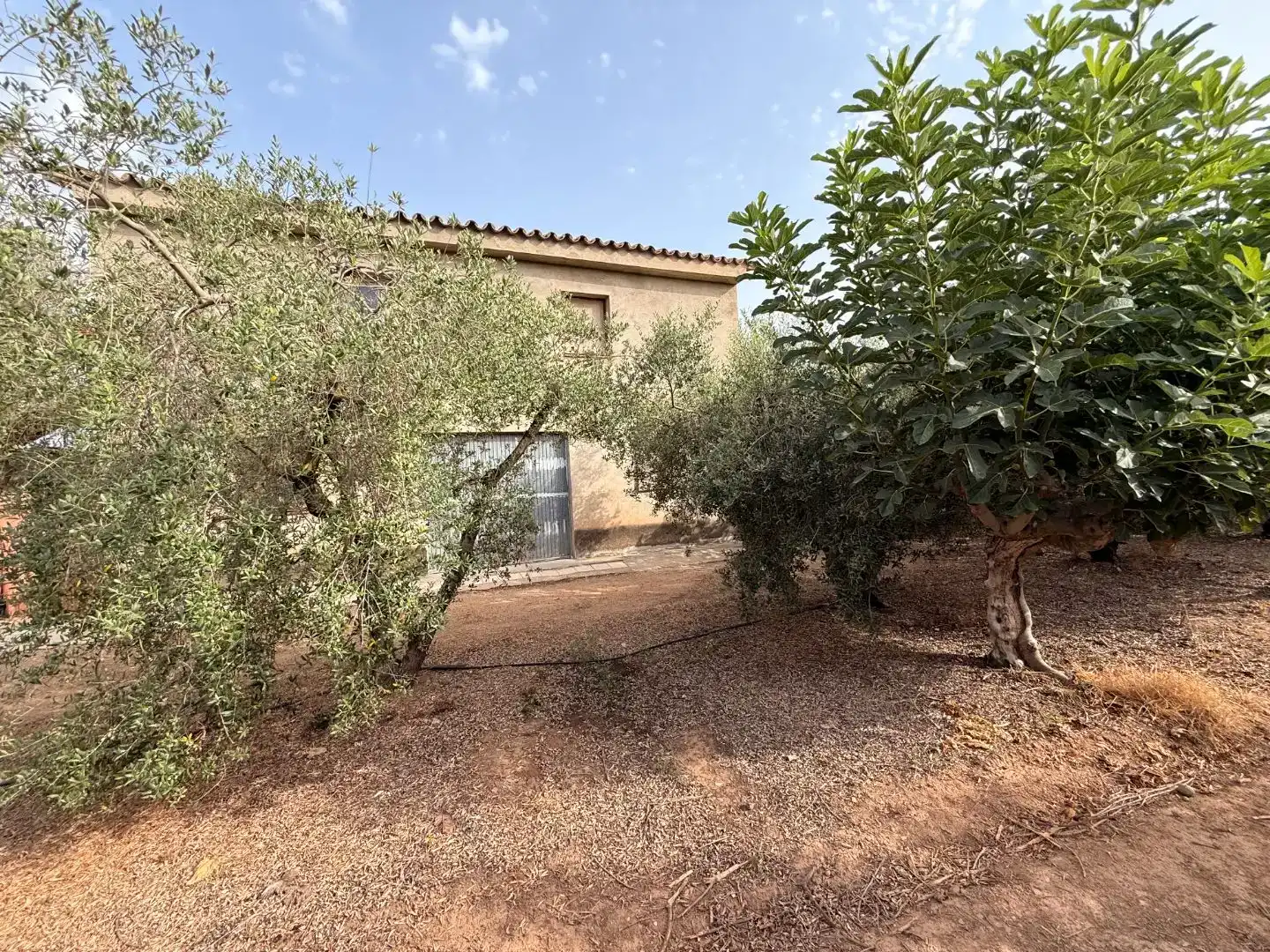 Vista exterior de Finca rústica en venda en Vinyols i els Arcs amb Moblat