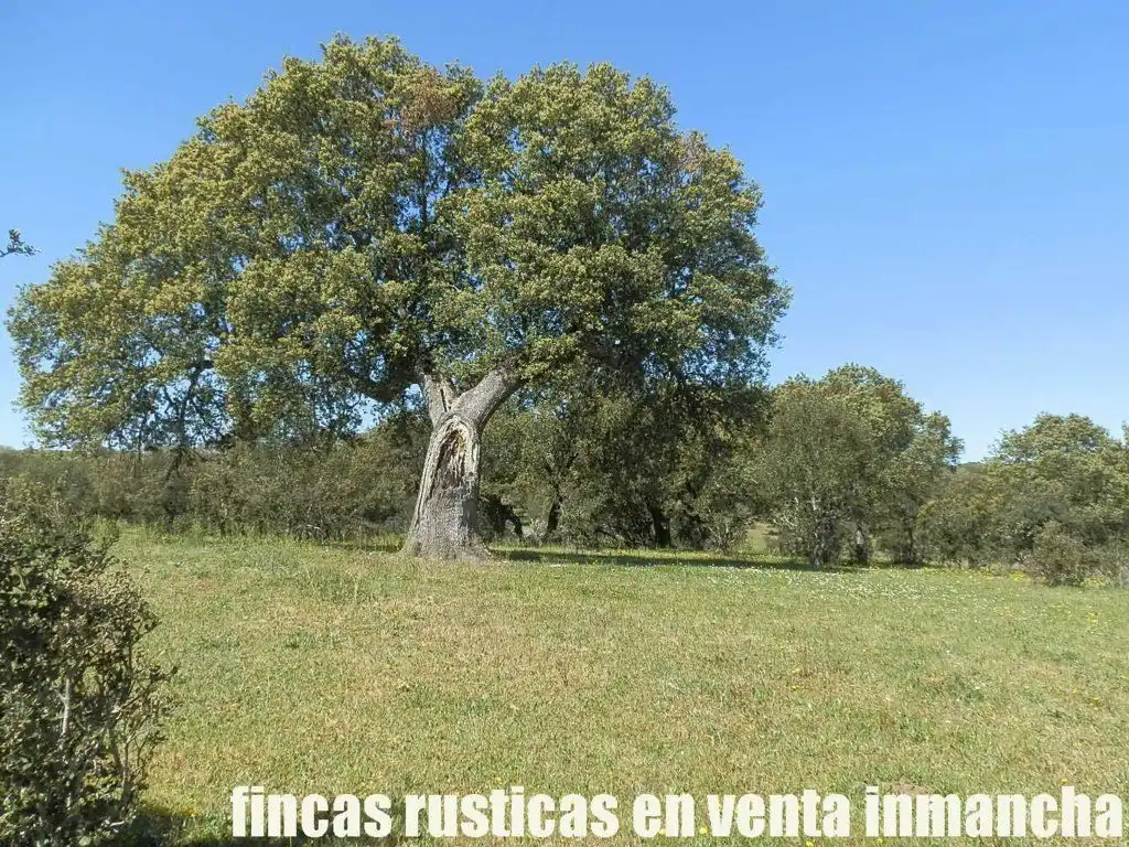 Terreno rustico in vendita a Ciudad Rodrigo, imagen 6