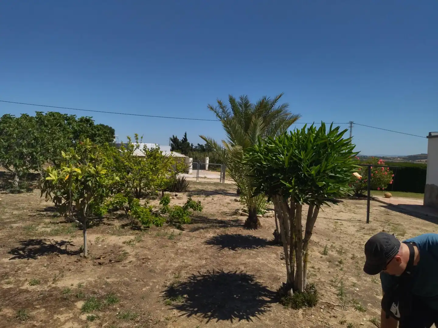 Casa rustica con giardino in vendita a Vejer, imagen 32
