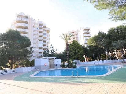 Piscina de Apartament en venda en Orihuela amb Terrassa, Piscina i Moblat