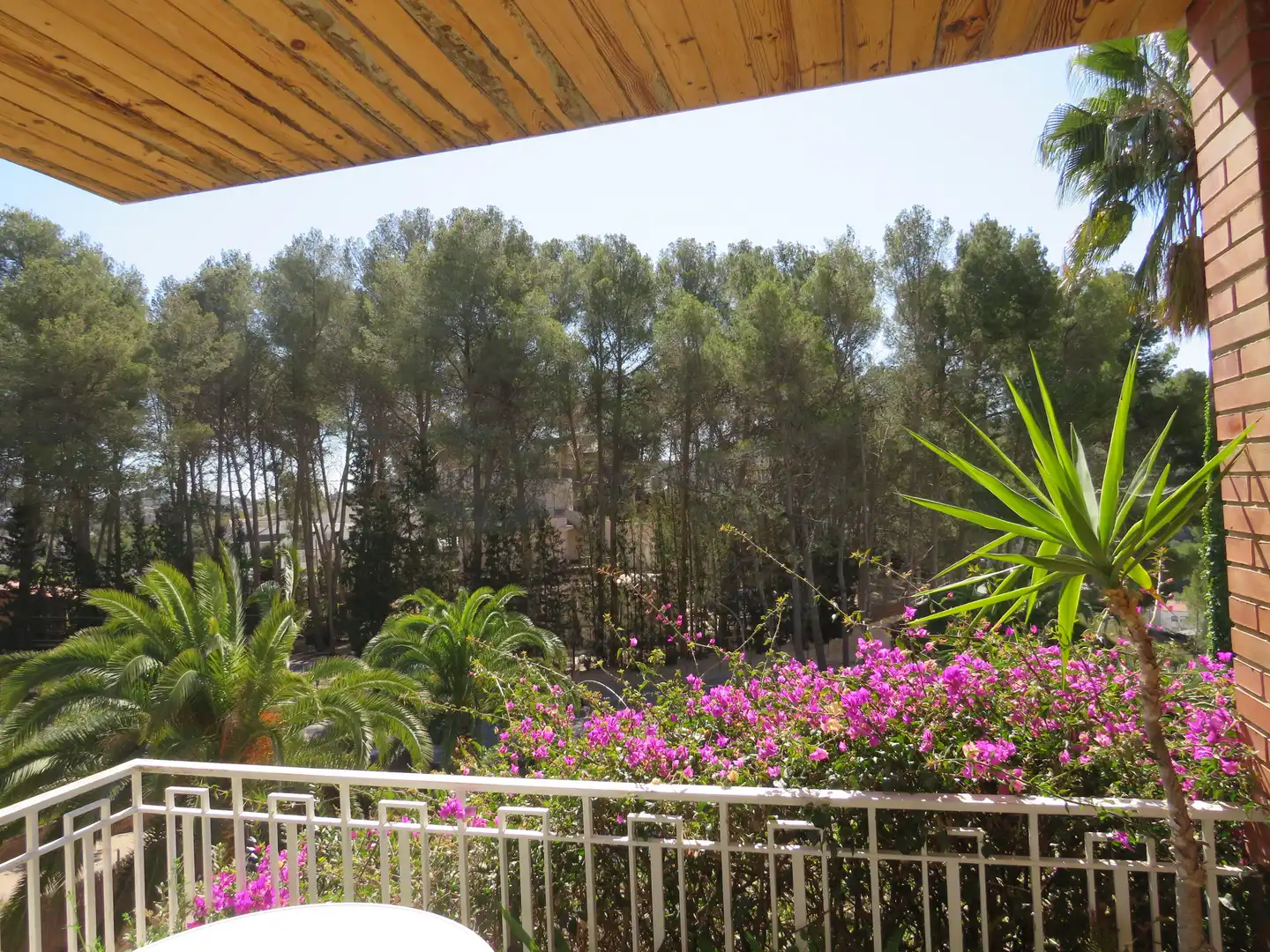Casa o xalet en venda a Passeig Maria Cristina, Vallirana